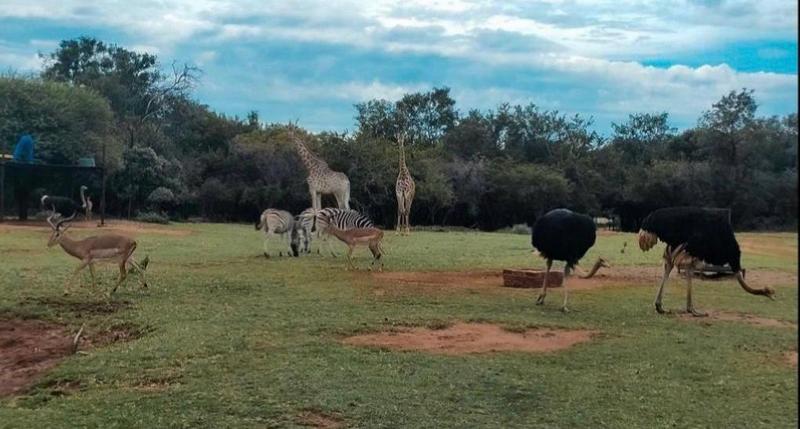 0 Bedroom Property for Sale in Broederstroom North West